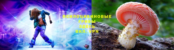 ГАЛЛЮЦИНОГЕННЫЕ ГРИБЫ Беломорск