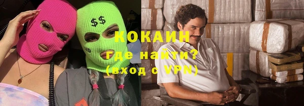 шишки Осинники