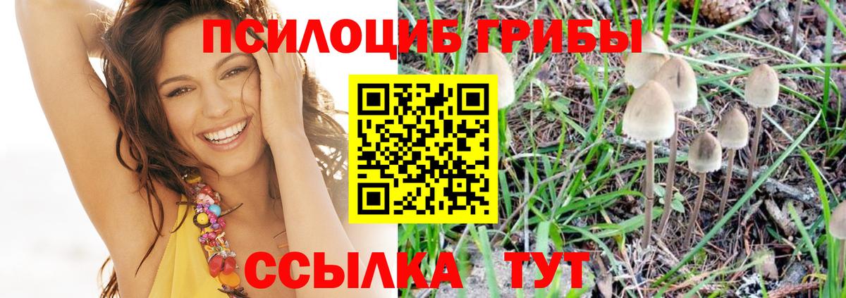Печора  Псилоцибиновые грибы MAGIC MUSHROOMS  Галлюциногенные грибы GOLDEN TEACHER  Вход с VPN 