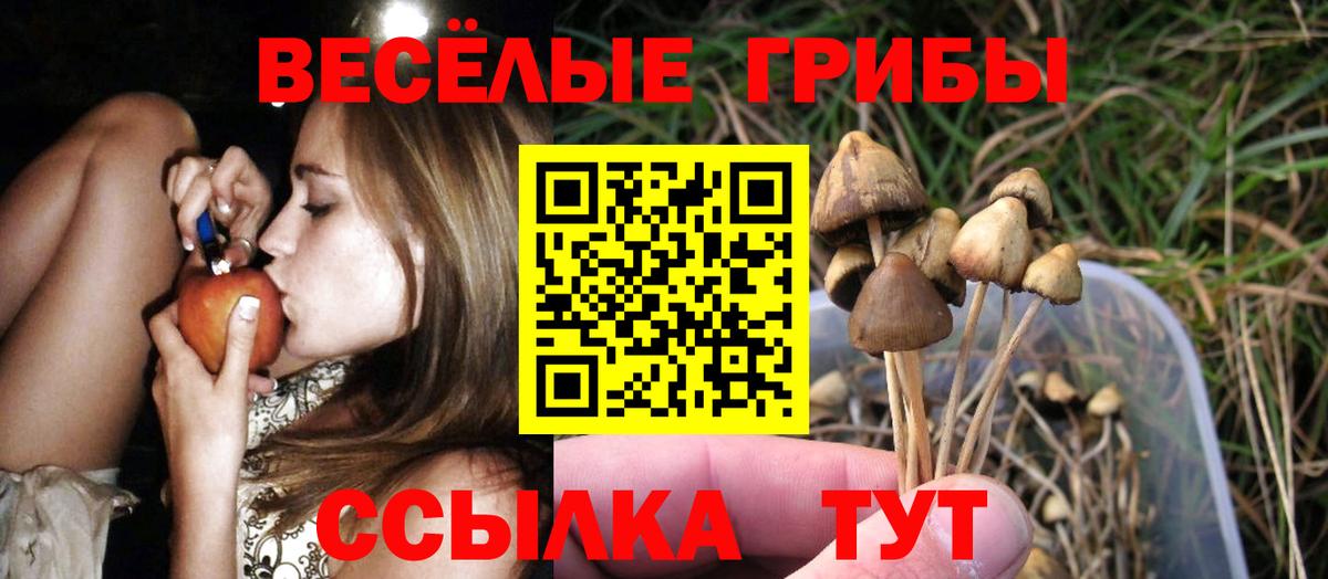 Галлюциногенные грибы GOLDEN TEACHER Печора
